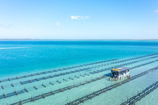 Experience Coffin Bay Oyster Farm and Bay Tour - Recommended Participants