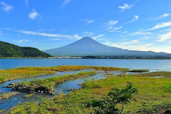 Experience the Stunning Nature of Mt.Fuji - Private Tour - Pricing Information Breakdown