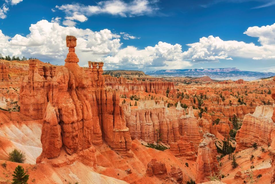 Explore Bryce Canyon: Private Full-Day Tour From Salt Lake - Geological Features of Bryce Canyon