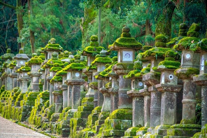 Explore the Best Spots of Arashiyama / Nara in a One Day Private Tour From Kyoto - Todai-ji Temple