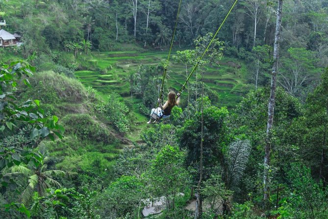 Explore the Highlight of Bali - Traditional Balinese Cuisine