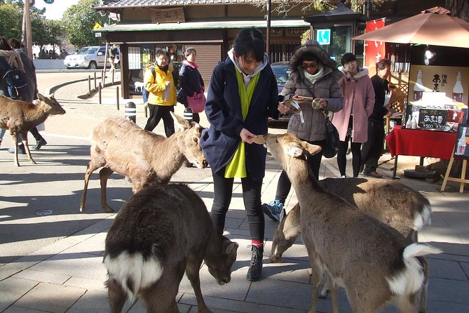 Exploring Nara - Naras Natural Beauty
