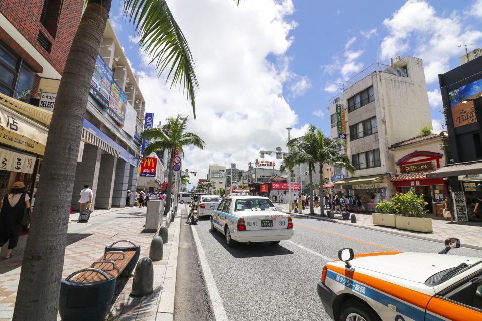 Exploring Okinawa's Natural Beauty and Rich History - Additional Information