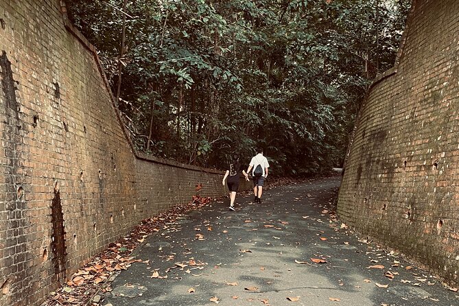 Exploring Singapore's Forgotten Hills - Wildlife and Flora Encounters