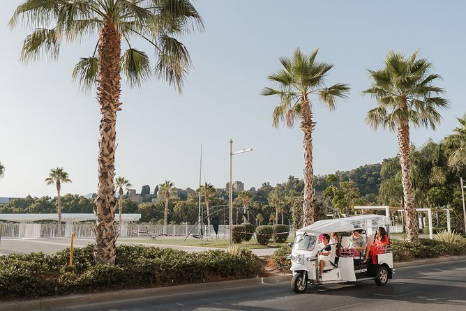 Express Tour of Malaga in Private Eco Tuk Tuk - Tour Highlights