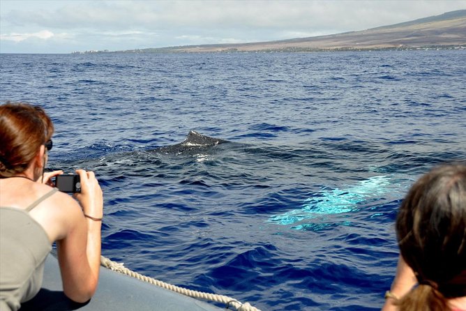 Eye-Level Whale Watching Eco-Raft Tour From Lahaina, Maui - Booking and Experience