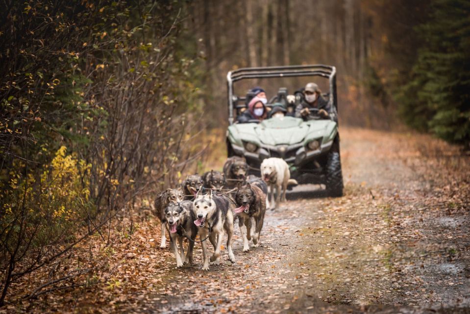 Fairbanks: Fall Cart Adventure Pulled by a Sled Dog - Directions