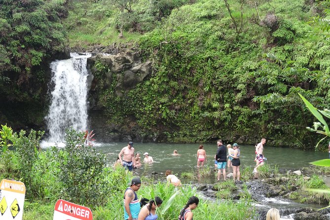 Famous Road to Hana Waterfalls & Lunch by Mercedes Van - Customer Reviews