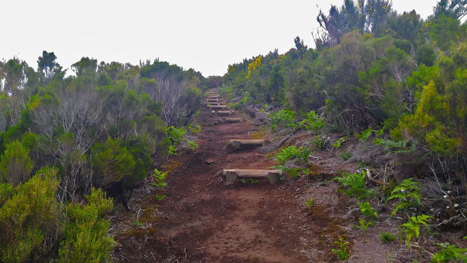 Fanal / Whistlers - Levada Walk - Booking Details