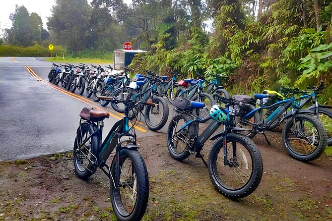 Fat Tire E-Bike Tour - Volcanoes National Park - Policies and Assistance