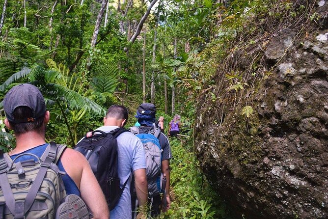 Fiji Private Hiking Tour (Mar ) - Village Interaction and Preparation Tips