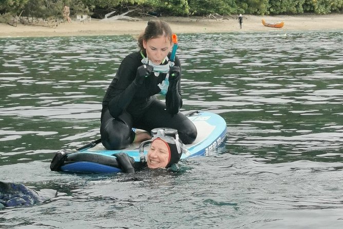 Fitzroy Island Sup/Snorkel Tour - Additional Information