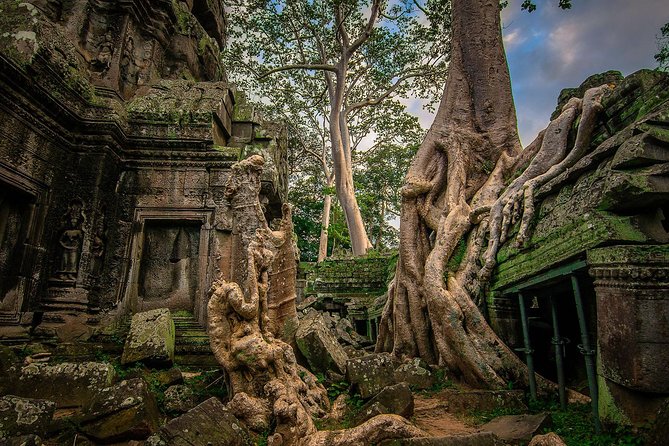 Five Day Angkor Wat Major Temples Tour  - Siem Reap - Dining Options