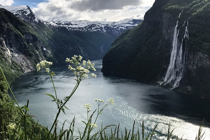 Fjord Cruise From Ålesund to Geirangerfjord Round Trip - Traveler Reviews and Feedback