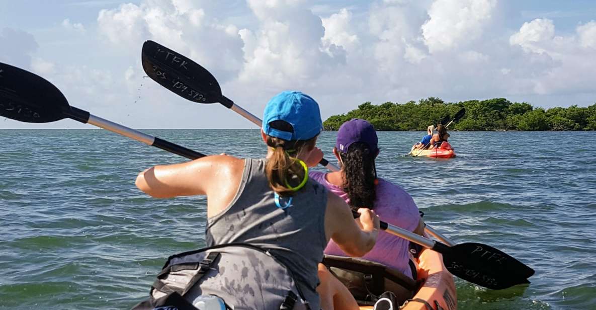 Florida Keys: Full-Day Kayak and Snorkel Reef Adventure - Snorkeling in Florida Keys Sanctuary