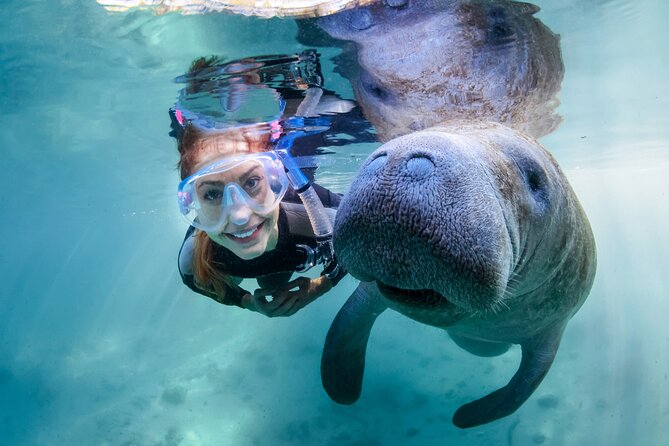 Florida Manatees, Nature Park, and Airboat Tour From Orlando (Mar ) - Guest Reviews