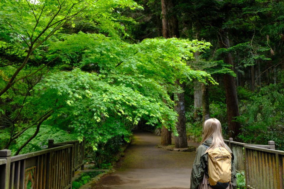 Fm Odawara: Forest Bathing and Onsen With Healing Power - Onsen Therapeutic Properties