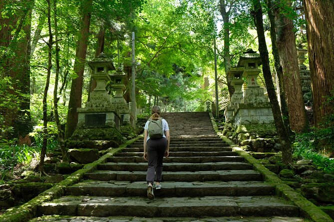 Forest Bathing in Temple and Enjoy Onsen With Healing Power - Booking and Pricing