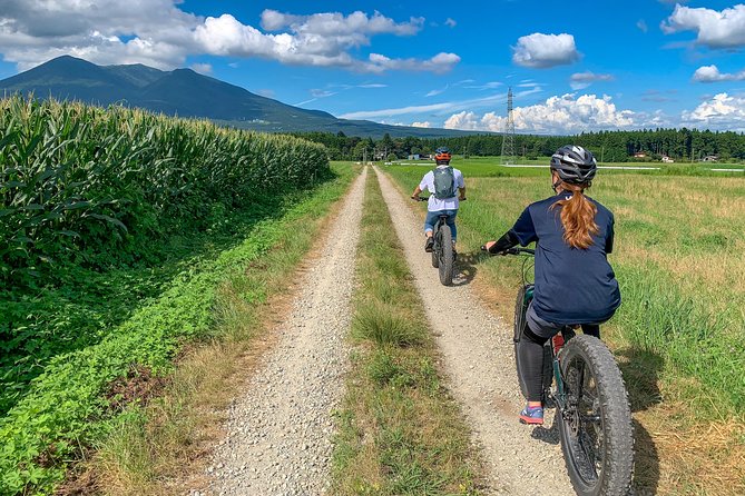 Forest Gravel Ride - Terrain and Difficulty