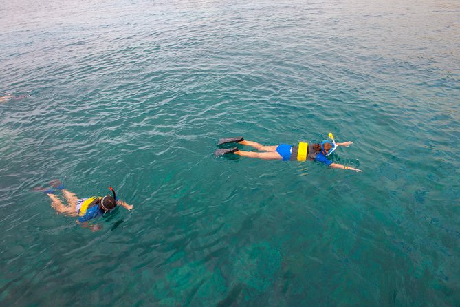 Four Winds II Molokini Snorkeling Tour From Maalaea Harbor - Cancellation Policy