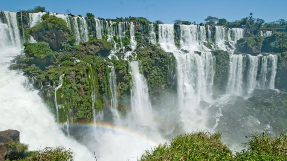 Foz Do Iguaçu: Brazilian Side of the Falls Bird Park - Reviews and Feedback