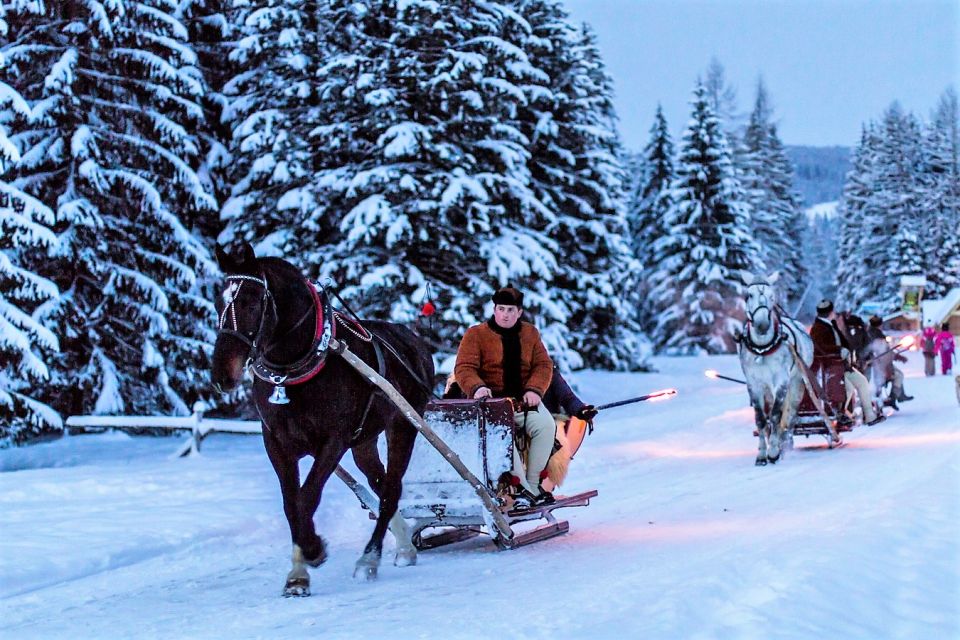 Fram Kraków; Tatra Mountain Sleigh Ride in Zakopane - Starting Point in Kraków