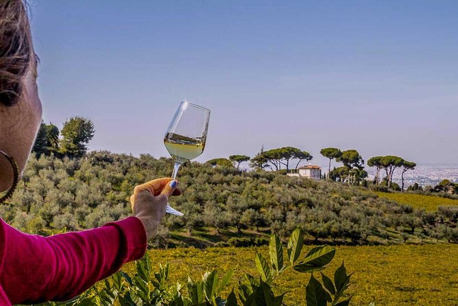 Frascati Wine Tasting Tour: The Flavors of the Roman Countryside - Memorable Vineyard Experience