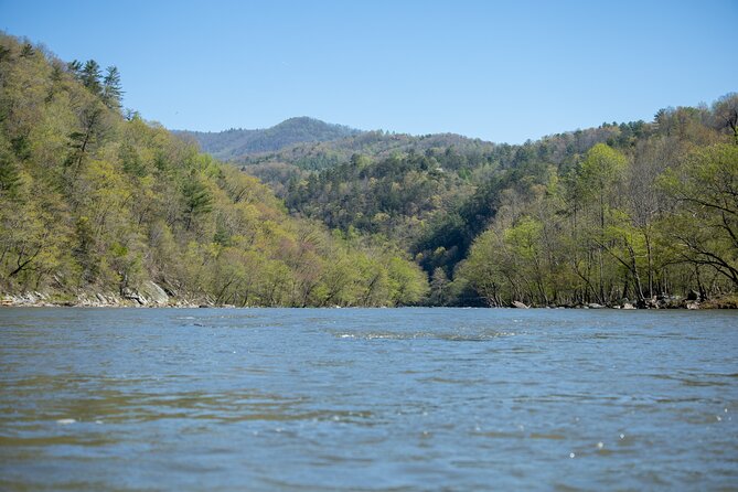 French Broad Gorge Whitewater Rafting Trip - Traveler Photos and Reviews
