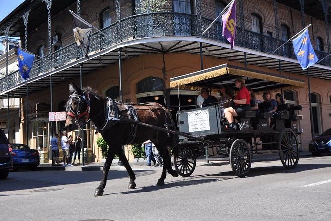 French Quarter and Marigny Neighborhood Carriage Ride - Experience Details