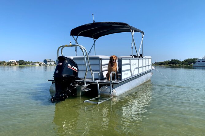Frisky Mermaid Pontoon Boat Rentals in Pensacola Beach - Reservation Requirements for Boats