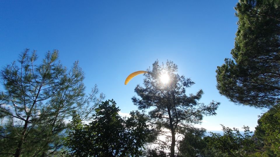 From Alanya: Tandem Paragliding Flight to City of Side - Customer Reviews