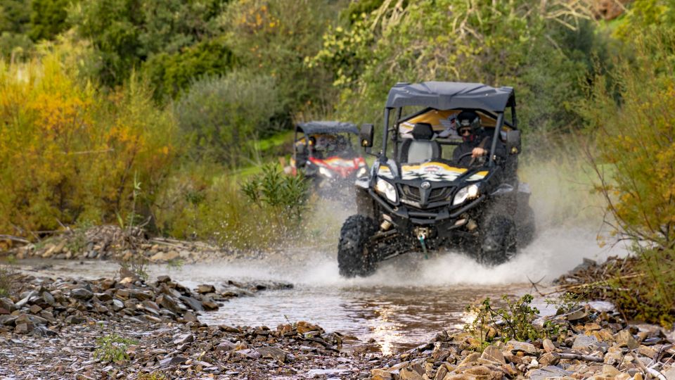 From Albufeira: Half-Day Buggy Adventure Tour - Important Requirements