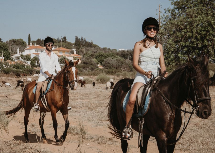 From Albufeira: Half-Day Hidden Gems & Horse Riding Tour - Reviews and Recommendations