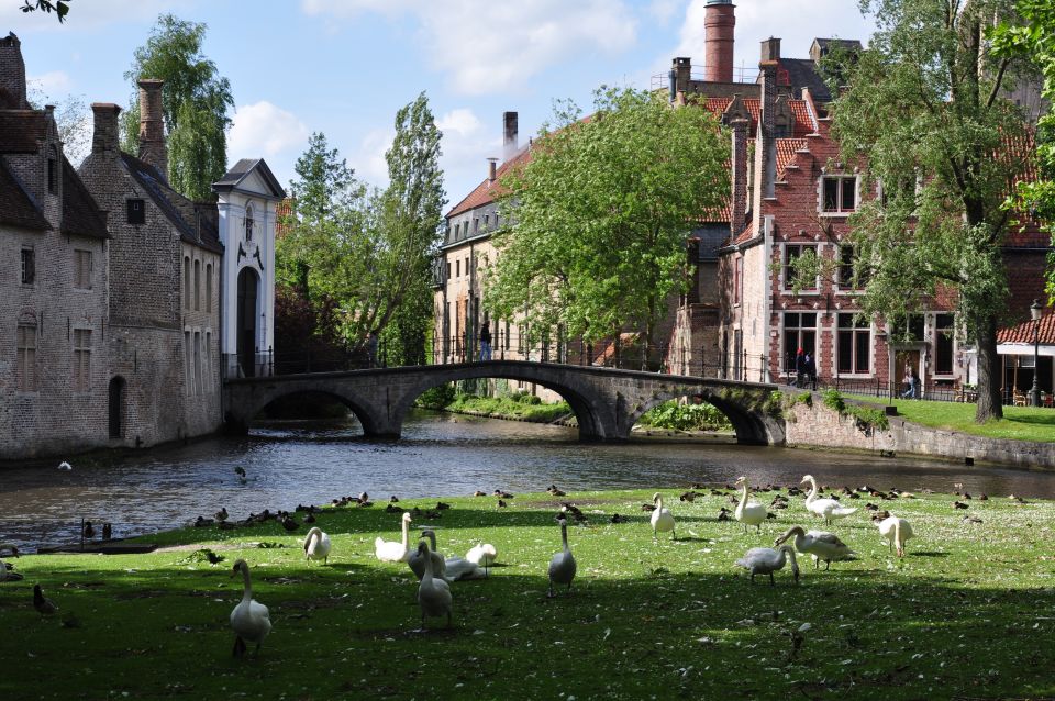 From Amsterdam: Bruges Guided Day Trip in English - Review Summary