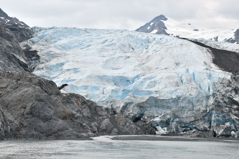 From Anchorage: Valley of Glaciers & Wildlife Center Tour - Customer Reviews and Recommendations