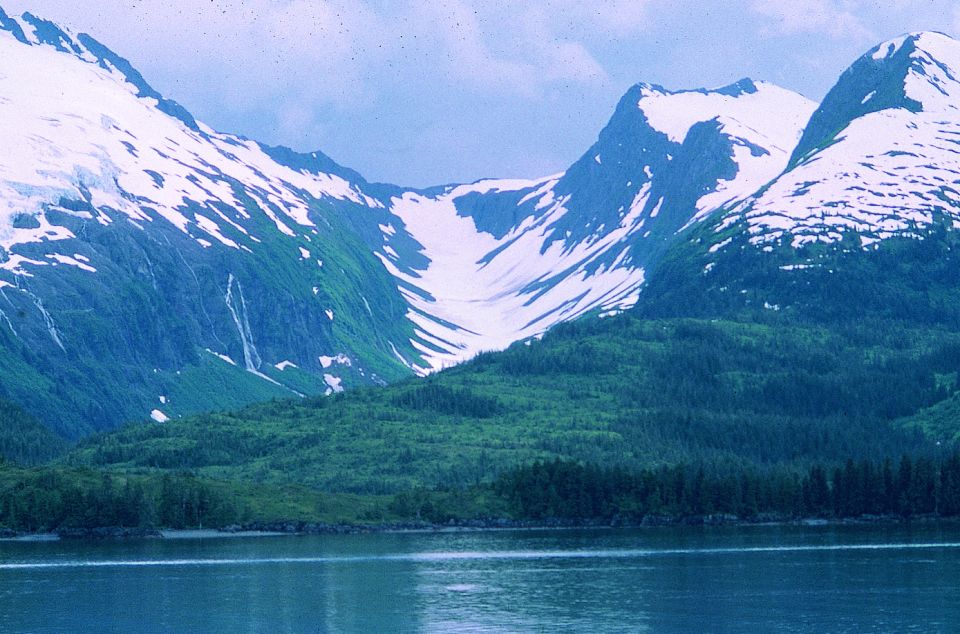 From Anchorage: Wilderness, Wildlife, & Glacier Experience - Location & Reviews