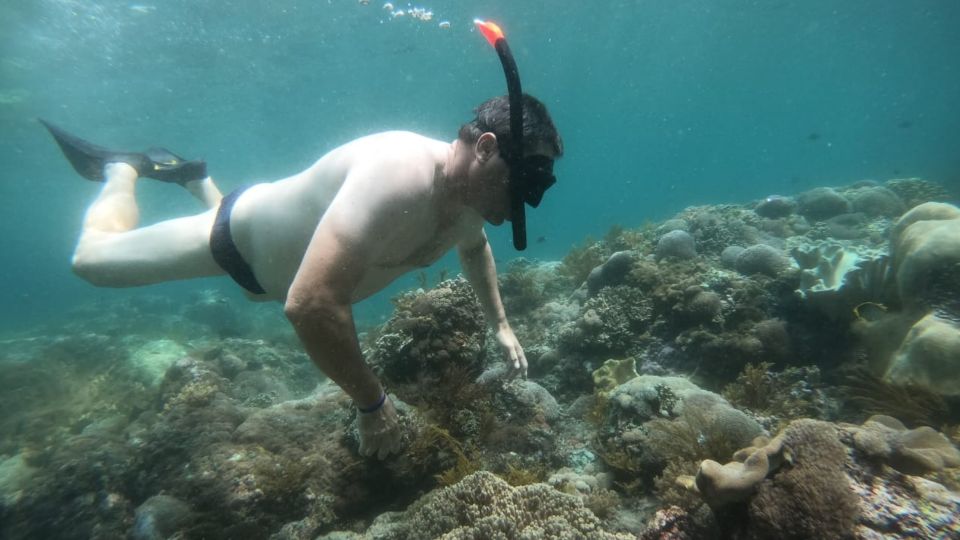 From Bali: Nusa Lembongan Snorkeling Mangrove and Land Tours - Land Tour Highlights