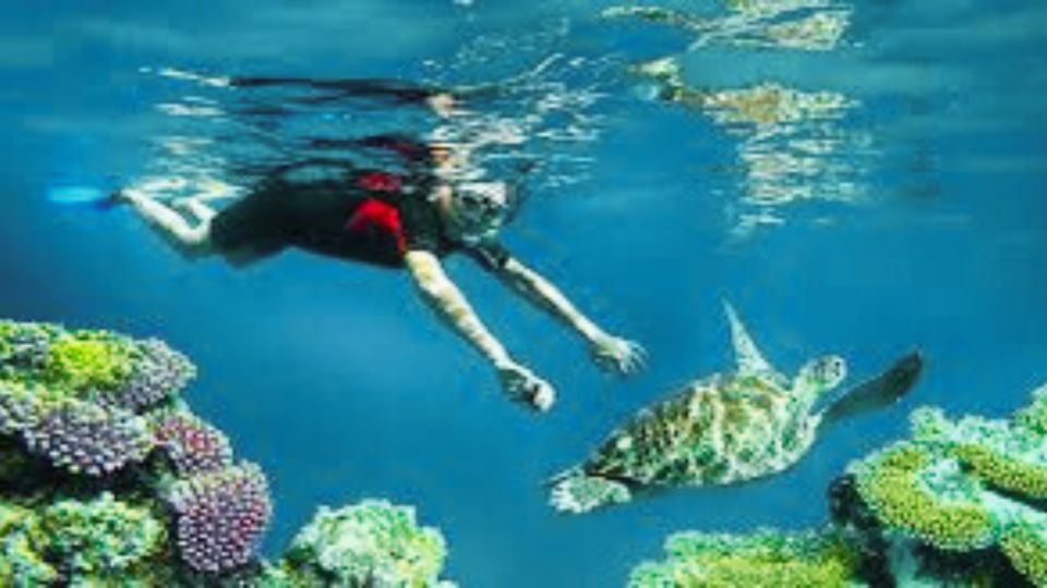 From Bali: West Nusa Penida & Snorkeling Small Group Tour - Tour Highlights