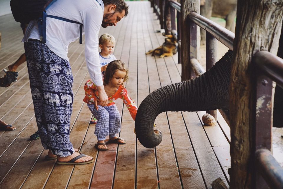 From Bangkok: ElephantsWorld Kanchanaburi 2-Day Experience - Reviews and Location