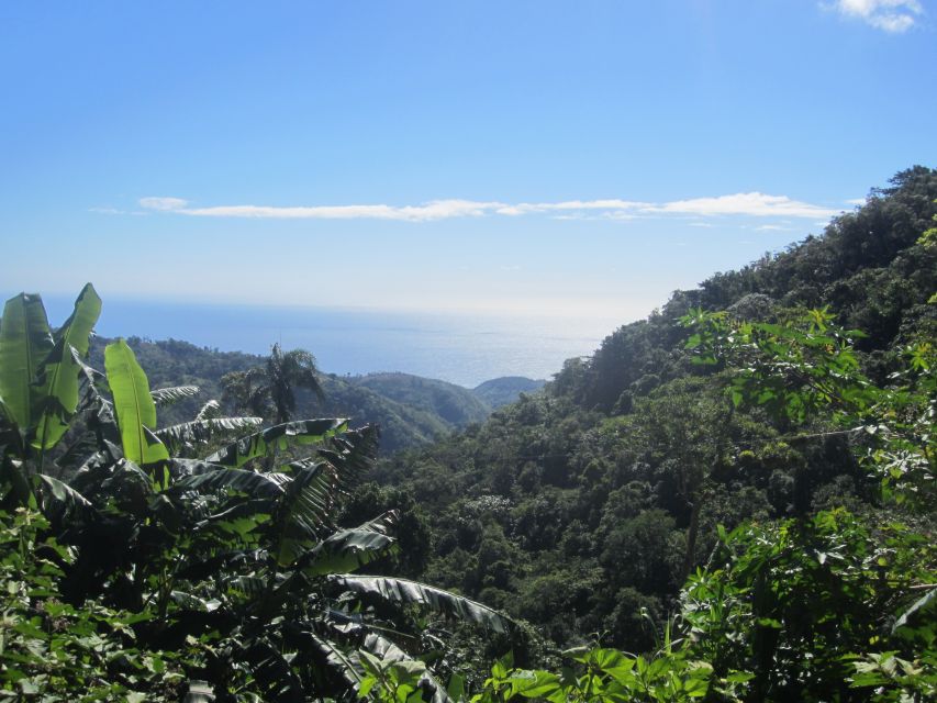 From Barahona: Larimar Mine Tour - Customer Review