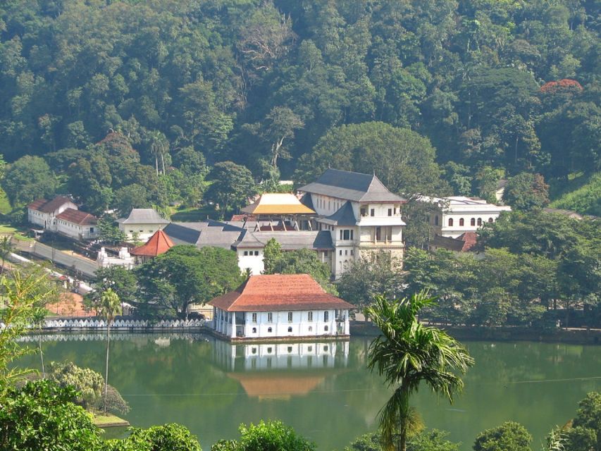 From Bentota: Kandy Tour With Tooth Temple & Gardens Visit - Inclusions in the Tour Package