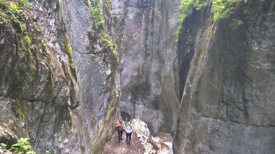 From Brasov: Day Trip to the Seven Ladders Canyon - Last Words