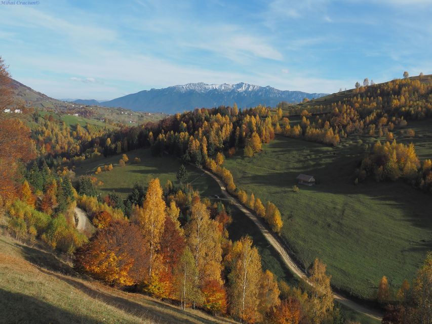 From Brasov: Romanian Mountain Villages Day Tour - Customer Reviews