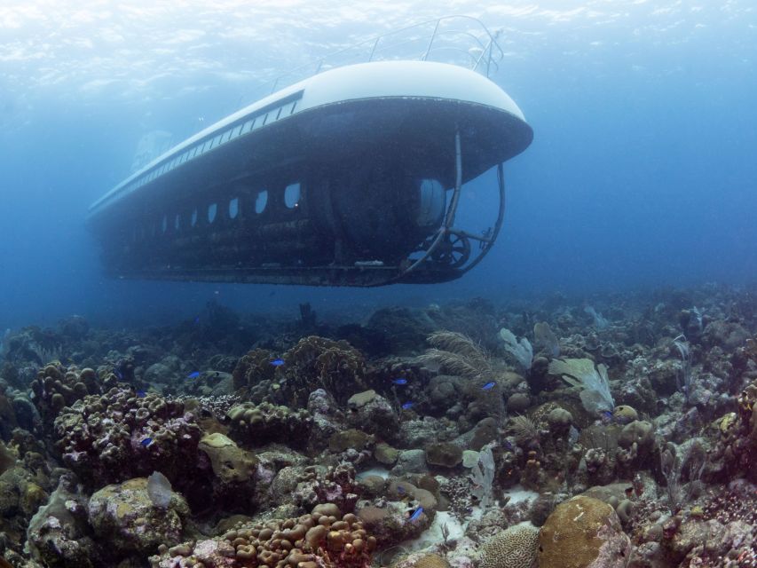 From Bridgetown: Scenic Boat and Submarine Tour - Logistics