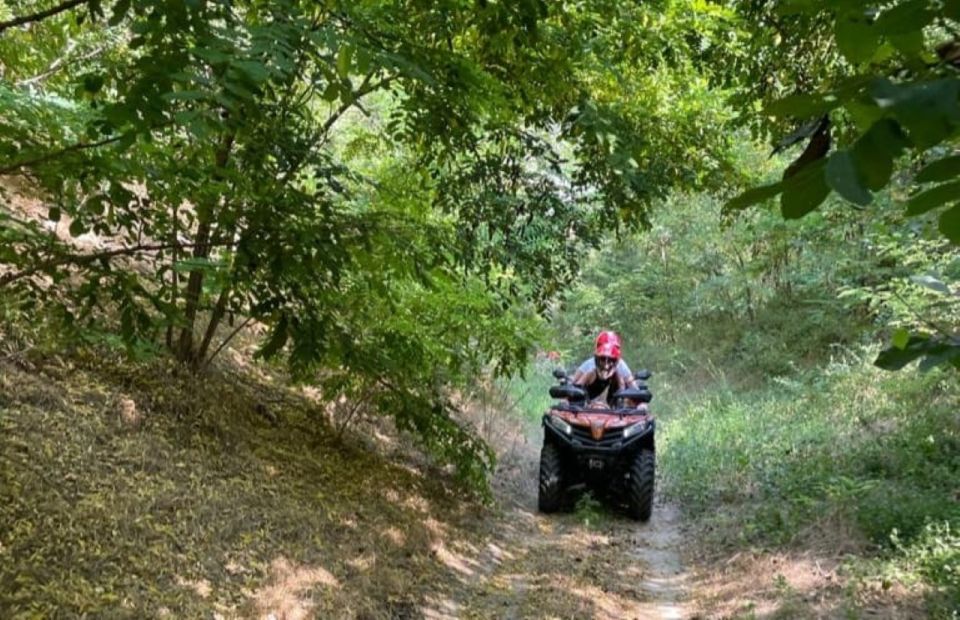 From Bucharest: Forest and Hills ATV Quad Bike Tour - Location and Tour Details