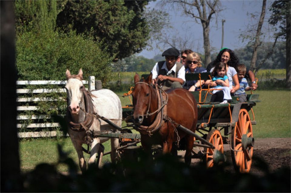 From Buenos Aires: Estancia Don Silvano Tour With Lunch. - Activity Features and Ranch Experience