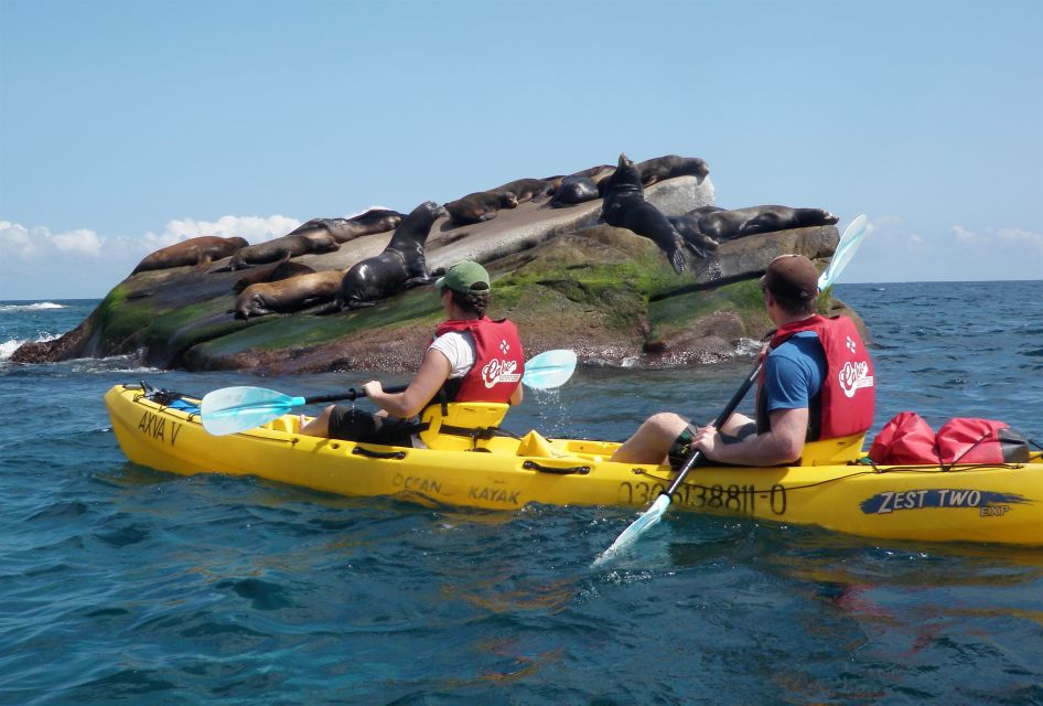 From Cabo: Cabo Pulmo Marine Park Snorkeling and Kayaking - Customer Review