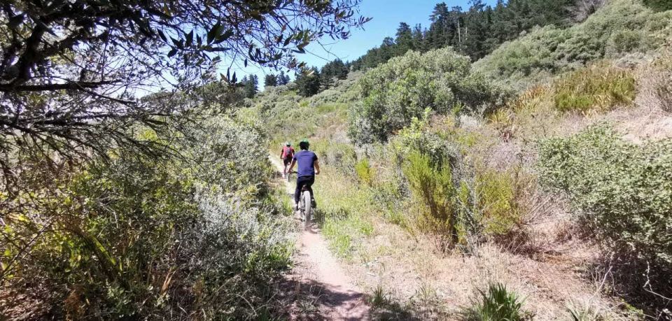 From Cape Town: Half-Day Winelands E-Bike Tour - Customer Reviews