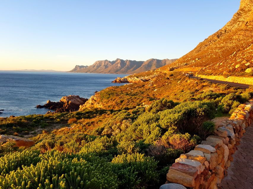 From Cape Town or Stellenbosch: Scenic Coastline Day Tour - Common questions