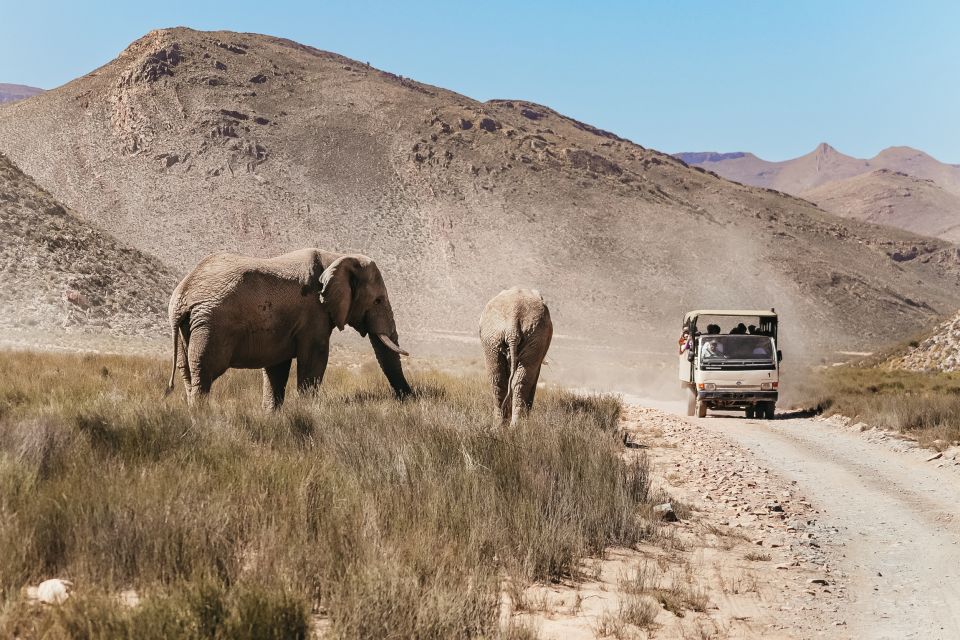 From Cape Town: Round-Trip to Aquila With Game Drive - Booking Flexibility